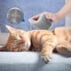 thumbnail image 5 of 2Pcs Wall Mounted Cat Brush, Cat Grooming Wall Corner Massage Comb with Catnip Catnip, for Long and Short Fur Cats Dogs, 5 of 5