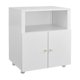 thumbnail image 3 of QinaQin Mueble metálico para impresora y archivo, gabinete con repisa ajustable y ruedas, ideal para home office, garaje o espacios pequeños, 3 of 7