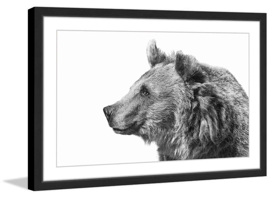 "Calm Observance" Framed Painting Print