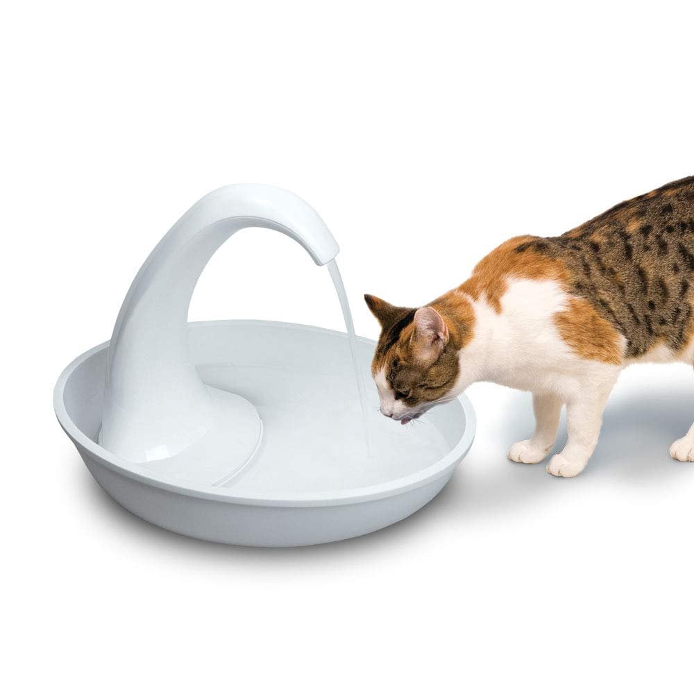 Pioneer Pet Swan Pet Drinking Fountain, 80 oz Water Capacity