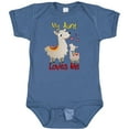 thumbnail image 3 of Inktastic My Aunt Loves Me Llama Boys or Girls Baby Bodysuit, 3 of 5