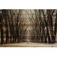 thumbnail image 2 of Parvez Taj "Tree Path II" Painting Print on Natural Pine Wood, 2 of 7