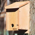 thumbnail image 5 of Woodlink Kiln-Dried Cedar Wood Birdhouse Winter Roosting and Shelter Box, 5 of 5