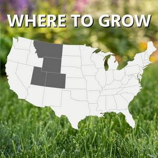 Jonathan Green (10383) Black Beauty Rocky Mountain H2FSDColorado Grass Seed Mixture (Made for Colorado, Montana, Utah, and Wyoming) - Cool Season Lawn Seed (7 lb)