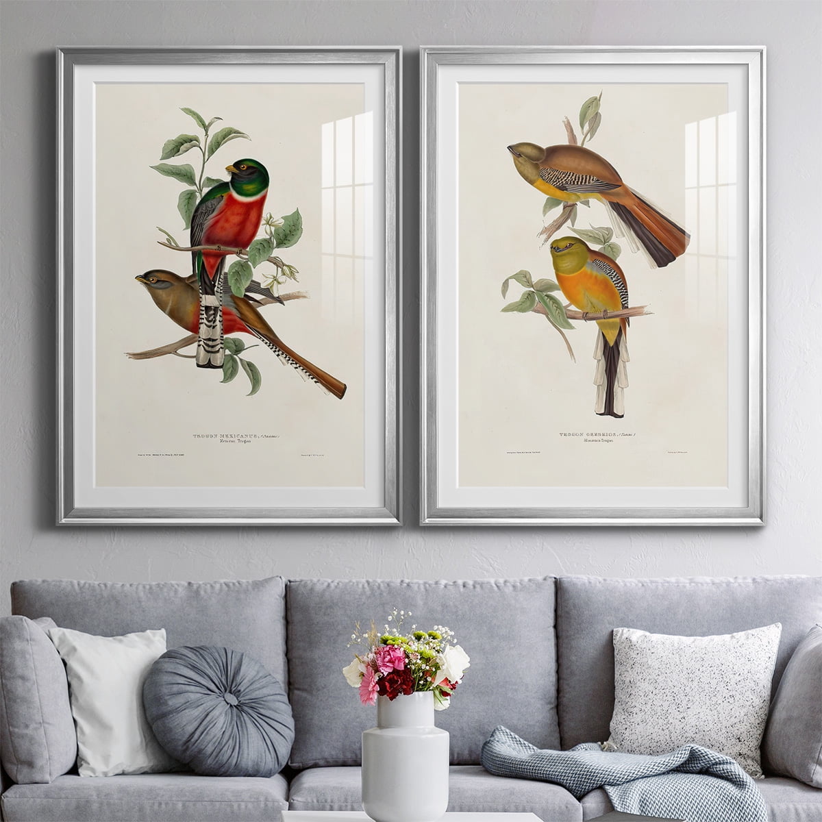 Wexford Home Elegant Trogons I Premium Framed Print, 30.5" x 42.5" - Ready to Hang, Silver (Set of 2)