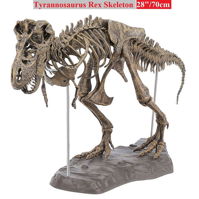DIY Colour 70Cm T Rex Tyrannosaurus Rex Skeleton Dinosaur Animal Collector Model 