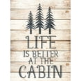 thumbnail image 2 of Allen, Kimberly 19x24 Gold Ornate Wood Framed with Double Matting Museum Art Print Titled - Life is Better at the Cabin, 2 of 4