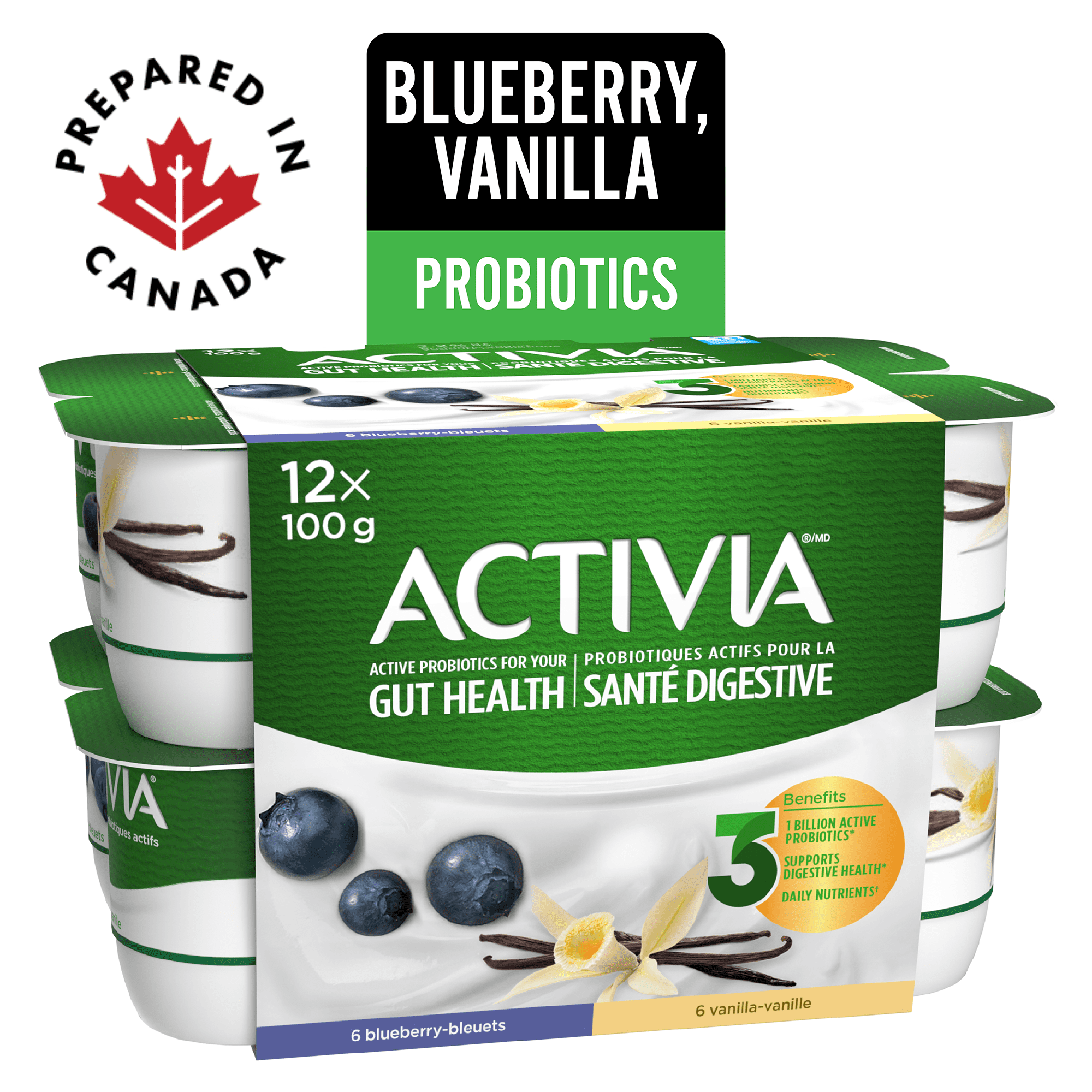 Activia Probiotic Yogurt, Vanilla/Blueberry, 12 x 100 g