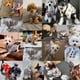 thumbnail image 3 of Winter Dog Clothes Chihuahua Soft Puppy Kitten High Striped Cardigan Warm Knitted Sweater Coat Fashion Clothing for Pet Dogs Cat ShopWise Round, 3 of 16