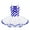 Blue, variant on Girls Christmas Dance Costumes Candy Cane Striped Tutu Dress for Ballet Figure Ice Skating Black 10