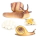 thumbnail image 1 of Bewildely 1 Juego de modelos de ciclo de vida, modelo de ciclo de vida exquisito para el hogar, accesorio de exhibición Simple, juguete Animal para Type3 NO3 Bewildely  FN010091-04, 1 of 6