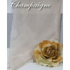 Girls Special Occasion SASH for Flower Girl Dress CHAMPAGNE One Size