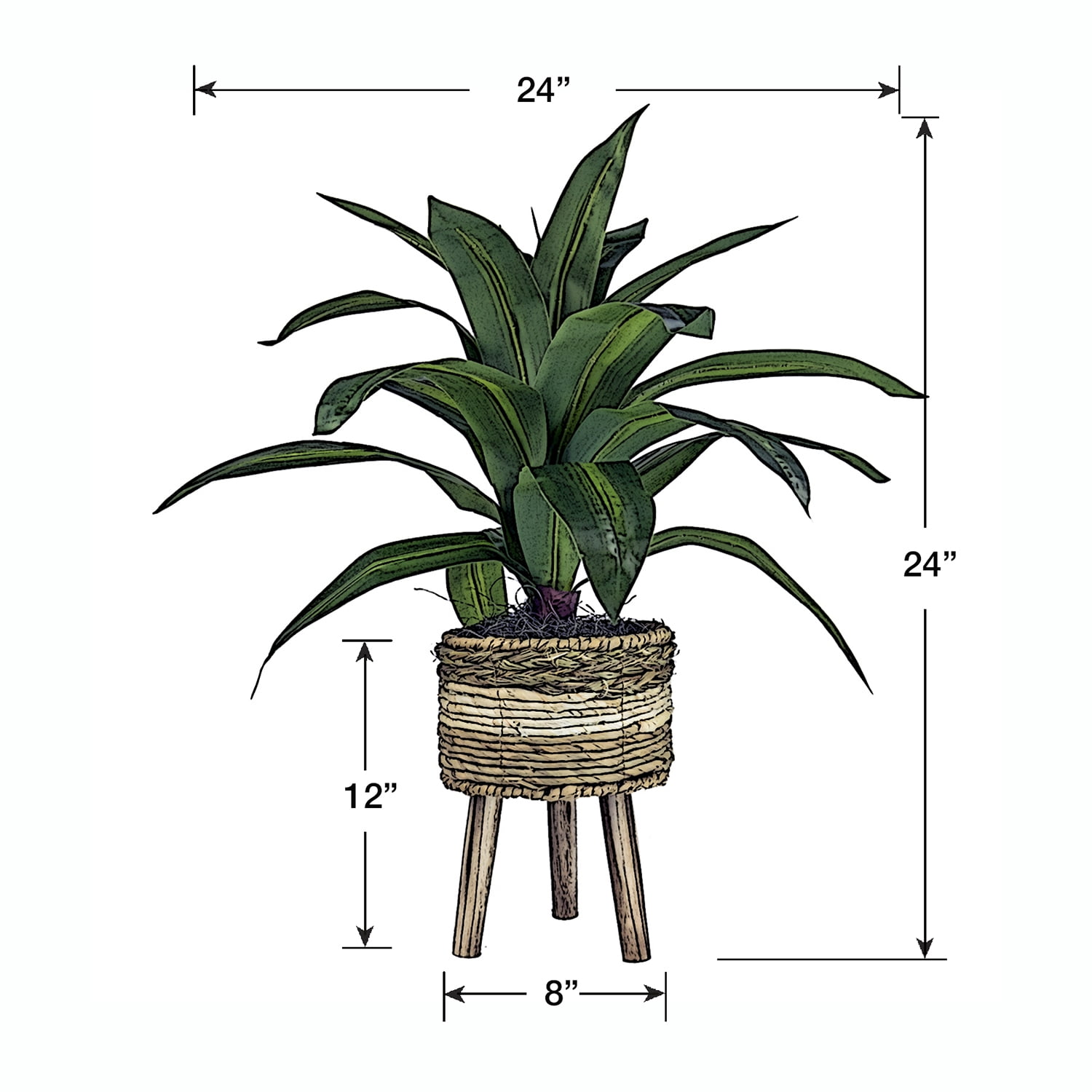 LCG Florals Artificial Plant, Dracaena Plant, 2 ft, Multi-Color Tripod Basket Stand, Faux Designer Indoor Plant for Living Room, Office, & Home Décor