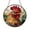 Acrylic 3.5 Inch, variant on Chicken Stained Glass Style Window Suncatcher, Floral Farm Animal Art Panel, Decorative Glass Style Window Hanging for Farmhouse Home Decor