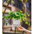 thumbnail image 5 of Plastic Hanging Planters with Chains,3 Pcs Indoor Outdoor Plant Pot,Hanging Succulent Vase,for Garden,Balcony Decorations (Emerald,Clear,Gray), 5 of 7