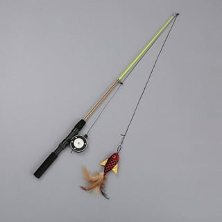 BEIJIALY Cat Caster Fishing Pole Toy, Retractable Fishing Pole Cat Toy with  Reel, Retractable Cat Teaser Wand Toy Interactive Fishing Rod with  Simulation Fish for Cats(crucian carp + Fishing Rod) : 