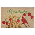 thumbnail image 1 of Trans-Ocean Importe NTR12207812 18 x 30 Po Liora Manne Natura Gratitude Machine Extérieure Mat - Naturel, 1 of 1
