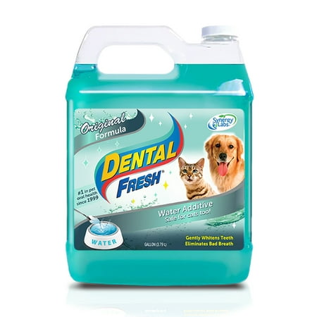 Dental Fresh For Dogs Review Dental Fresh For Dogs Review