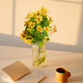 View all media