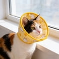 thumbnail image 4 of Decoration Cat Dog Postoperative Avoid Licking And Biting Headgear, 4 of 9