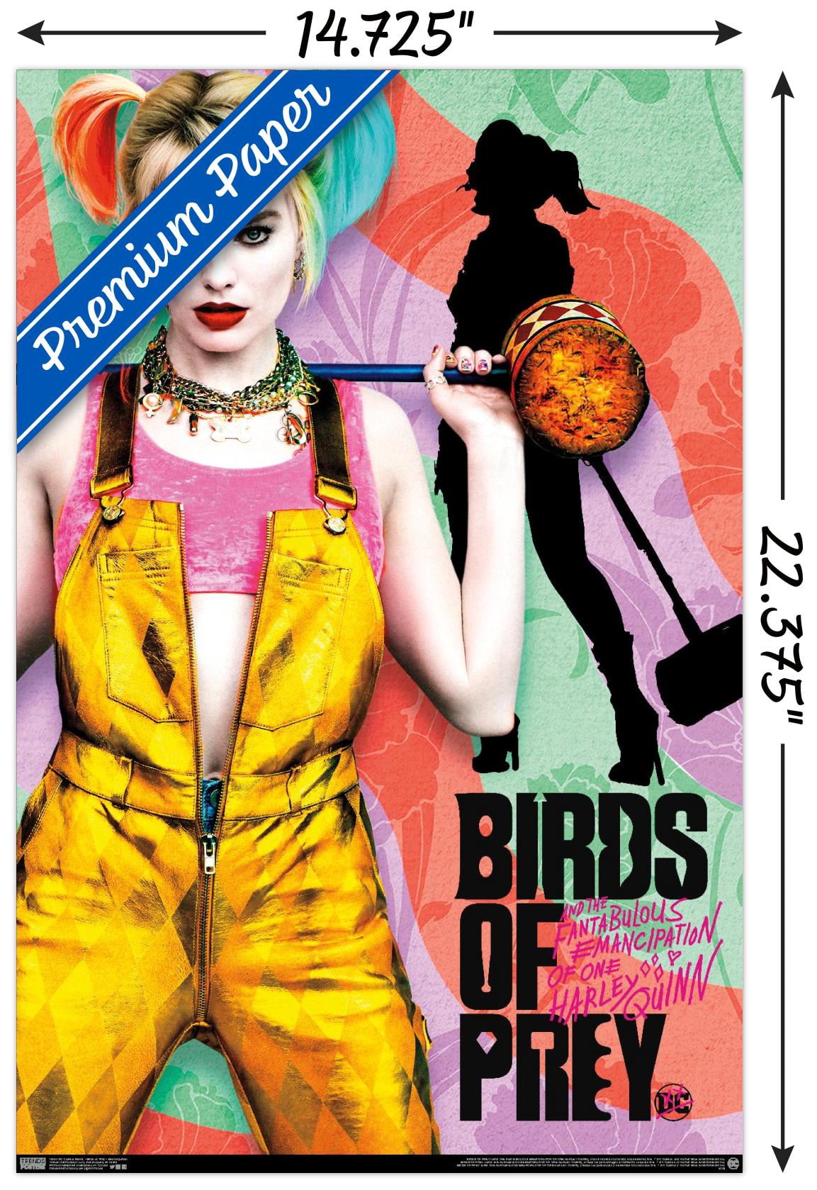 DC Comics Movie - Birds of Prey - Emancipation Wall Poster, 14.725" x 22.375"