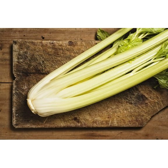 1000 Seeds GOLDEN Self-BLANCHING CELERY aka Burpee's or Dwarf Golden Apium Graveolens Dulce Vegetable Seeds