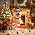 thumbnail image 3 of Festive Holiday Pet Socks with Non- Grip for Indoor Dogs and Cats Comfort, 3 of 4