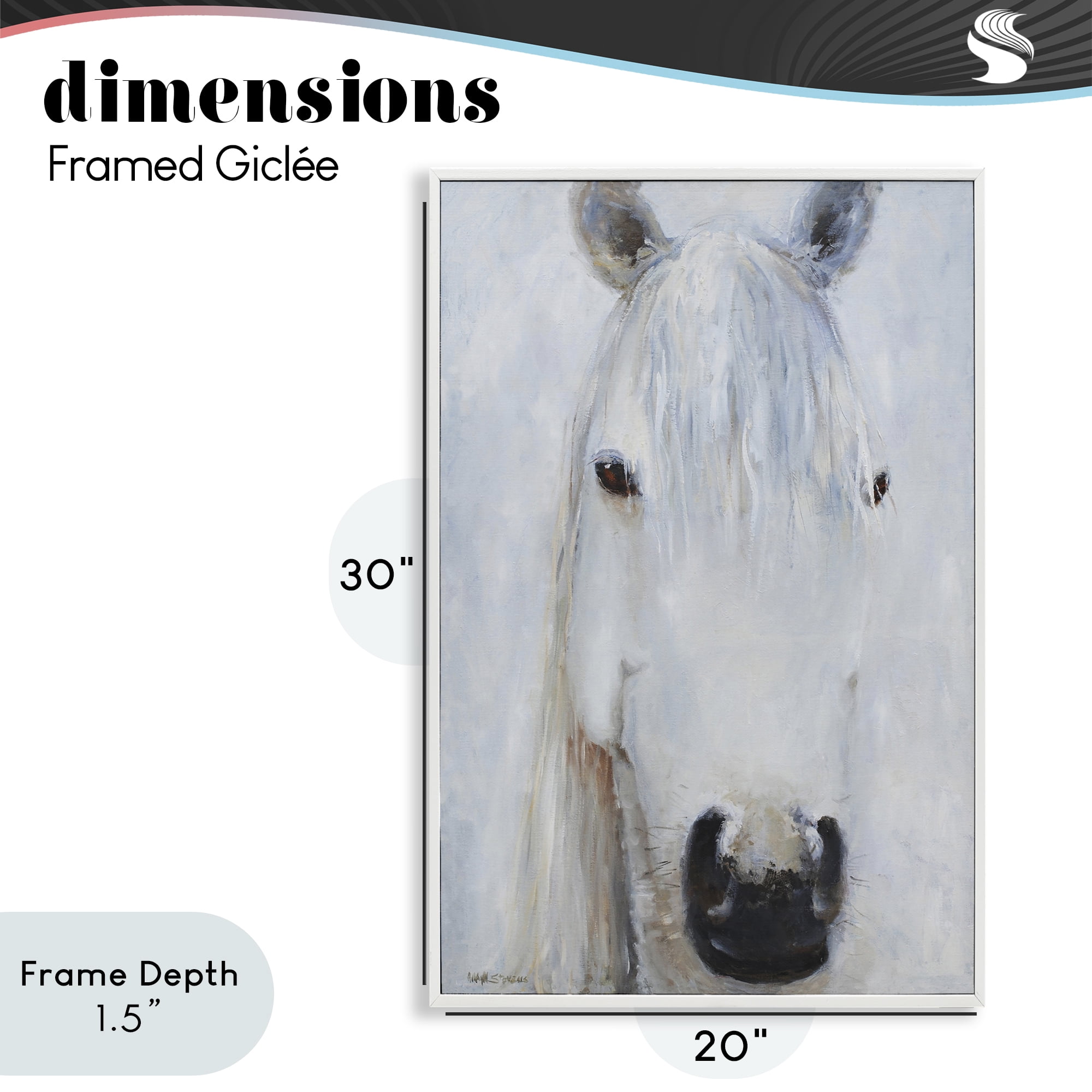 Stupell Industries Pure White Horse Portrait White Framed Giclee Art, design by Jadei Graphics