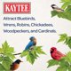 thumbnail image 5 of Alimento para pájaros silvestres Kaytee Mealworms 100 g con alto contenido de proteínas, 5 of 8