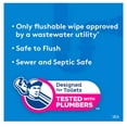 thumbnail image 2 of Cottonelle Fresh Care Flushable Wipes, One Size 504 Ct., 2 of 4