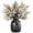Champagne, variant on Babys Breath Silk Artificial Flowers Bulk With Vase 10pcs for Fall Decor Fake flower bouquet Home Kitchen Indoor Bouquet Floral Arrangement Table Centerpieces Decor(Beige Brown Vase)