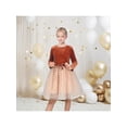 thumbnail image 2 of Sunny Fashion Girls Dress Rust Copper Velvet Polka Dot Plain Tulle Vintage Twirly Fall Holiday 7 Years, 2 of 7