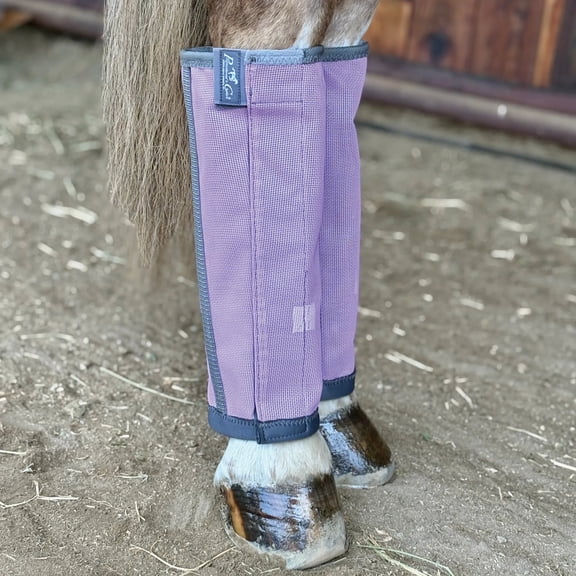 Professional's Choice Deluxe Fly Boots: Ultimate Horse Leg Protection Orchid / Large