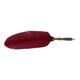 thumbnail image 3 of Feather Pen Set Durable Creativity Easy Writing Stationery Gift Box for Lover Teacher Classmate GiftSprinkler Red Wine, 3 of 5