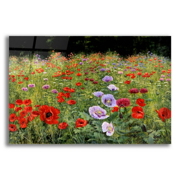 Epic Art 'Field Of Poppies' by Bill Makinson, Acrylic Glass Wall Art, 16"x12"