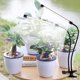 thumbnail image 1 of 84 Lámpara Led Cultivo Espectro Completo con Clip Para Plantas Interior 6000K,Led 74 Blancos y 10 Rojos,Regulable En 5 Niveles,Temporizador 3, 9 y 12 Horas,IP55 (Luz roja y blanca 84 LED), 1 of 9