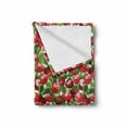 thumbnail image 2 of Fruits Soft Flannel Fleece Blanket, Red Apples and Green Leaves Organic Food Garden Harvest Eating Clean Theme Print, Cozy Plush for Indoor and Outdoor Use, 60" x 80", Red Green White, by Ambesonne, 2 of 6