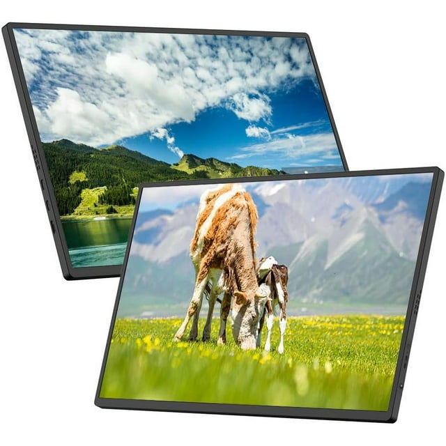 LAICAIW Moniteur pc Moniteur de Bureau Moniteur Moniteur Écran d'Ordinateur de Jeu Écran IPS Moniteur de Jeu 18,5 Pieds' Moniteur Portable 1080P Écran IPS Résolution 1920 * 1080 Angle de Vision Grand 178° 60Hz Refres