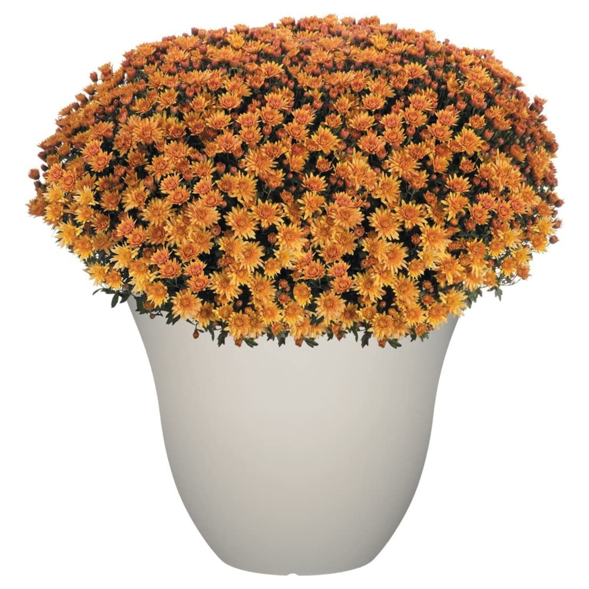 Classic Home and Garden Indoor/Outdoor Round Resin Honeysuckle Planter Pot, White Vanilla, 13in