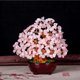 thumbnail image 1 of Árbol de de dinero del cristal del Feng Shui de 7 pulgadas para el ornamento del escritorio del hogar de oficina Rosado Baoblaze Bonsai Crystal Tree, 1 of 8