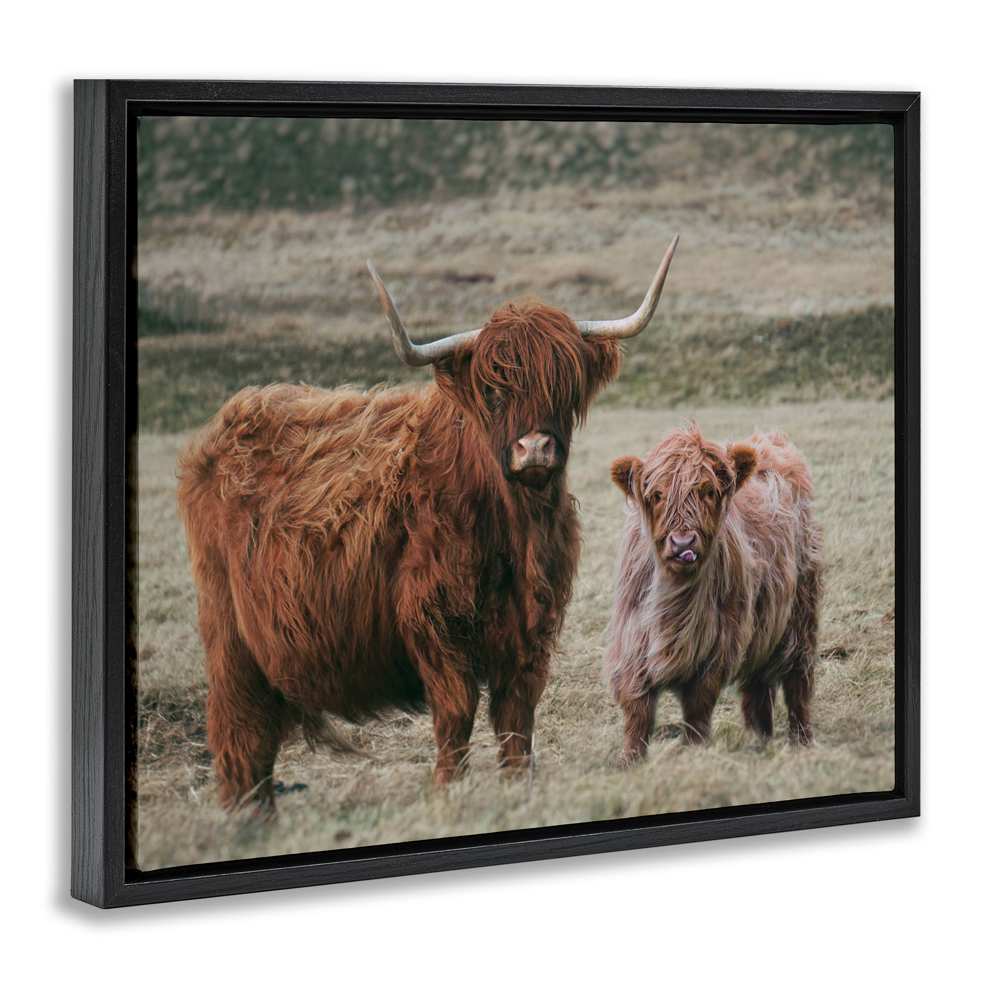 Mom & Baby Cow Black Framed Floater Canvas Wall Art, design by Lettered and Lined