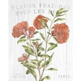 thumbnail image 3 of Gango Home Decor Cottage Fleuriste Paris II & Fleuriste Paris III by Wild Apple Portfolio (Ready to Hang); Two 11x14in Hand-Stretched Canvases, 3 of 5