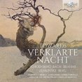 thumbnail image 1 of Towards Verklärte Nacht, 1 of 1
