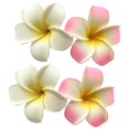 thumbnail image 3 of FIT YOUR SKIN Suero de manos perfumado #Petal Lily - Loción hidratante de manos ligera - Triple ácido hialurónico y extracto de flor de camelia - Acabado no graso y no pegajoso - 1.7 fl.oz, 3 of 5