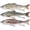 C1-4.7"-0.6oz, variant on GOTOUR Fishing Lures for Freshwater or Saltwater, Easy to Use for Family Fishing Beginner and Pros, Most Lifelike Jointed Swimbait，Slow Sinking Bass Pike Panfish Walleye Lures, Fishing Gifts for Men