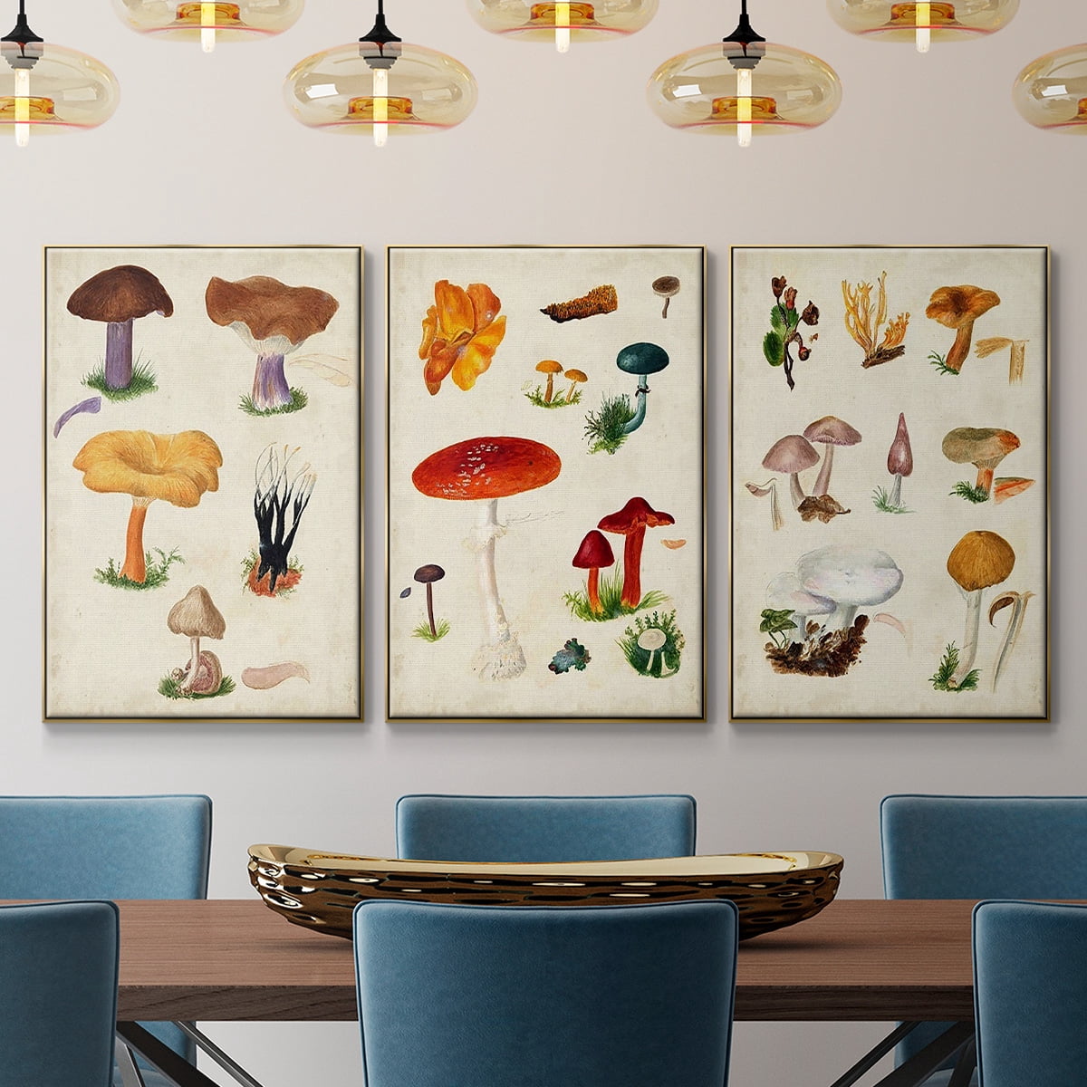 Mushroom Species VI - Framed Premium Gallery Wrapped Canvas L Frame 3 Piece Set - Ready to Hang