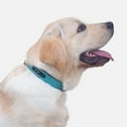 thumbnail image 2 of Correa para Perros Personalizable en Piel PU de Alta Calidad, Ajustable y Duradera, Ideal para Paseos Seguros y Cómodos, Talla M, Color Café., 2 of 6