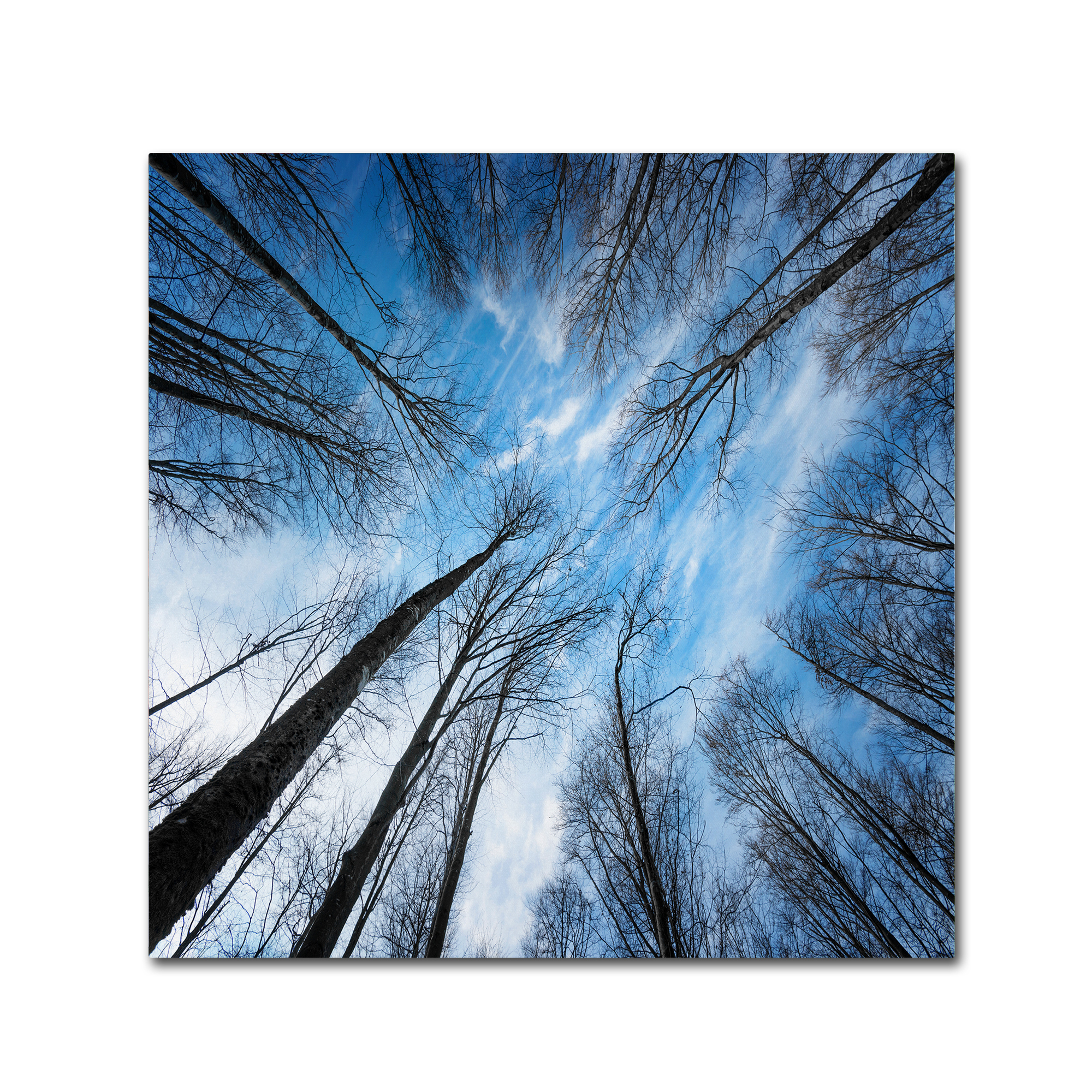 Philippe Sainte-Laudy 'Blue Crunch' Canvas Wall Art 14 x 14