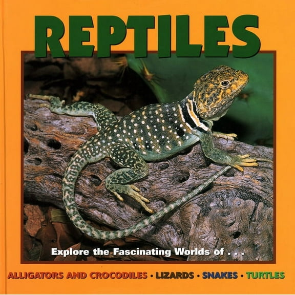 Our Wild World: Reptiles (Hardcover)