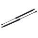 thumbnail image 1 of 2X Front Bonnet Hood Lift Support Shock Gas Cylinder Set for IS250 IS300 IS350 2005-2013 534400W101, 1 of 5